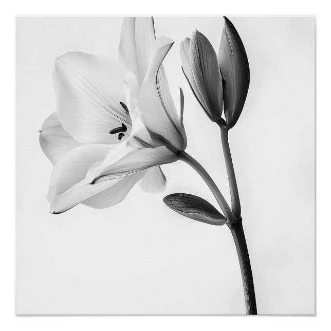 Póster Élégance Florale en Noir et Blanc (Frente)