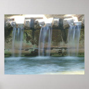 Poster Elegância
