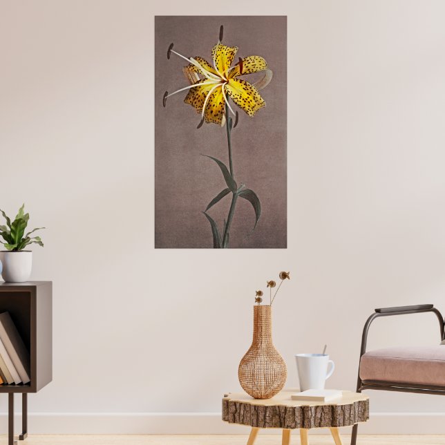Poster Elegância do eterno: Lily Japonesa (Sala de Estar 3)
