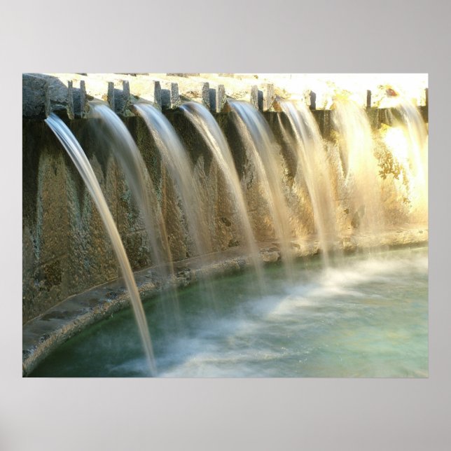 Póster Elegância II (Frente)