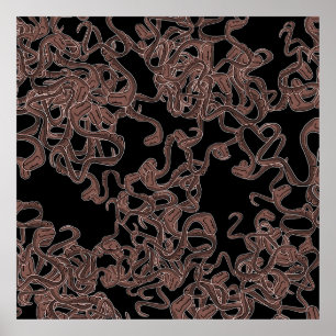 Poster Elegância Venômica