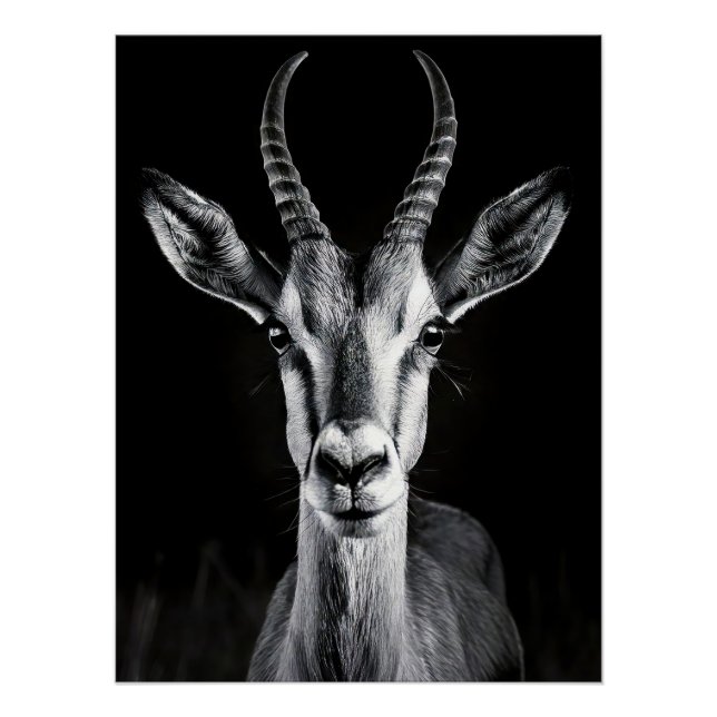 Póster Elegant Black & White Gazelle Fine Art Photo (Frente)