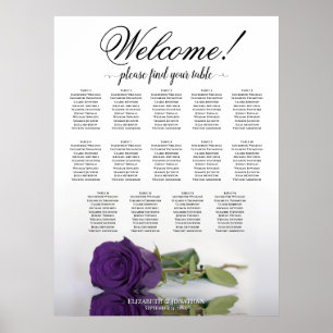 Poster Elegante 14 Gráfico de Assentos Reais de Rosa Roxo