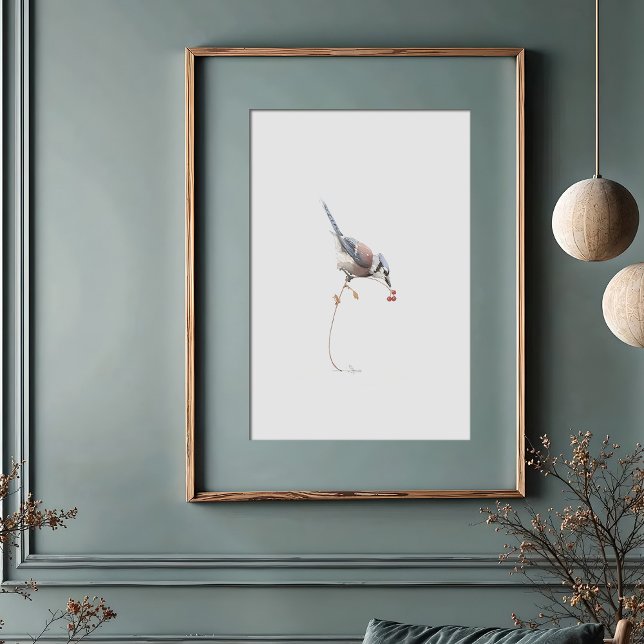 Poster Elegante Blue Jay Watercolor Art com Berries verme (Criador carregado)