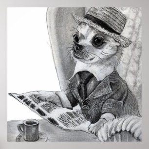 Poster Elegante chihuahua lendo jornal