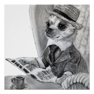 Póster Elegante chihuahua lendo jornal