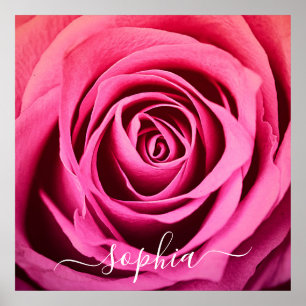 Poster Elegante Cor-de-rosa rosa Flor Foto Adicionar Nome