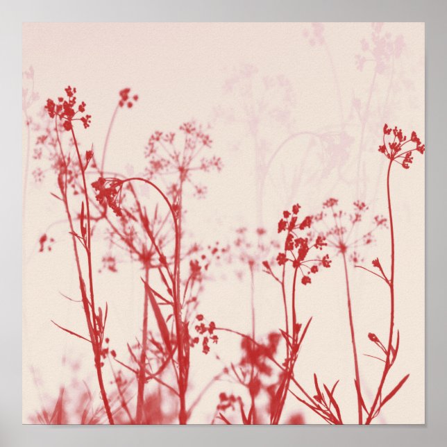 Poster Elegante Coral Red Floral Abstrato (Frente)