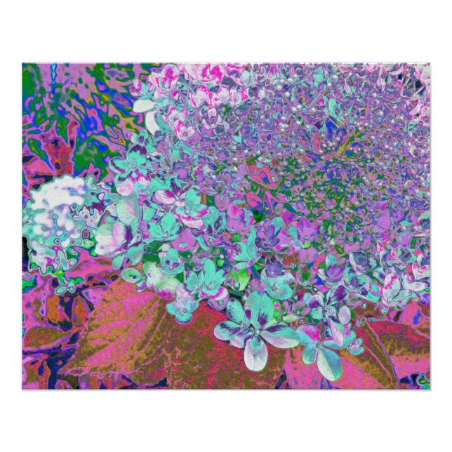 Póster Elegante Detalhe de Hortênsia Limelight Aqua e Rox (Frente)