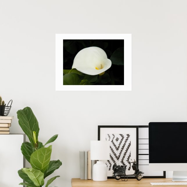 Poster Elegante Flor de Lírio Calla Branco Fotográfico (Escritório em casa)