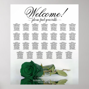Poster Elegante Gráfico de Assentos à Mesa Rosa Verde Esm
