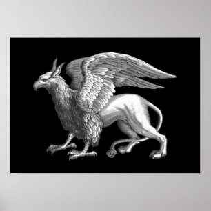 Poster Elegante Gris Prata / Cinza Griffin Lendária