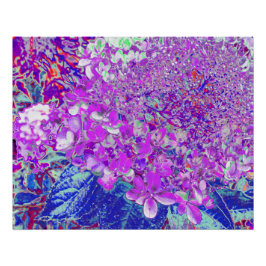 Póster Elegante Hortênsia Limelight Roxa e Azul