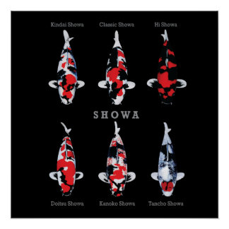 Póster Elegante Koi Fish Poster - Eterno e Deco Artístico