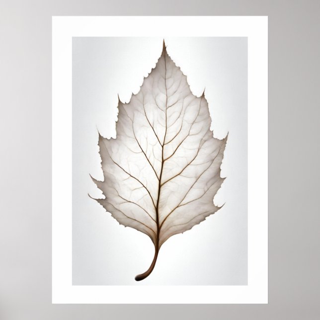 Poster Elegante Leaf Natures Vein Artprint (Frente)