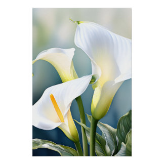 Póster Elegante Lírio-de-Calla Branco Aquarela Parede Bot