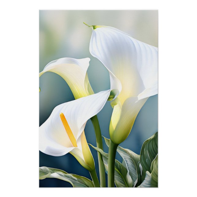Póster Elegante Lírio-de-Calla Branco Aquarela Parede Bot (Frente)