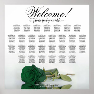 Poster Elegante Mesa 29 Carta de Assentos Rosa Verde Esme