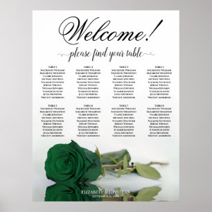 Poster Elegante Mesa 8 Carta de Assentos Rosa Verde Esmer