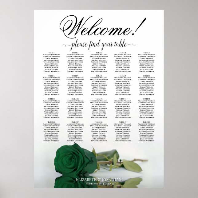 Poster Elegante Quadro de Assentos de Mesa Rosa Verde Esm (Frente)