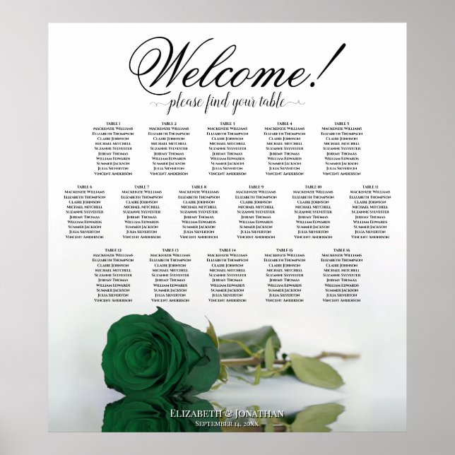 Poster Elegante Quadro de Assentos de Mesa Rosa Verde Esm (Frente)