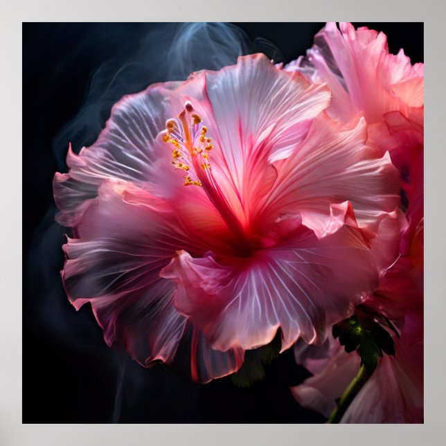 Poster Elegante rosa Hibiscus (Frente)