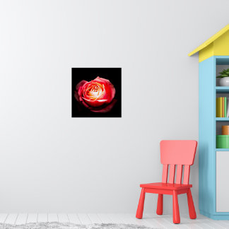 Poster Elegante Rosa Vermelha Sombria e Escura