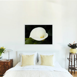 Póster Elegante White Calla Lily Bloom Floral