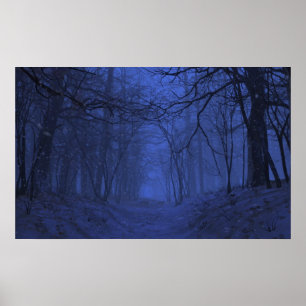 Poster Elegia (inverno/noite)