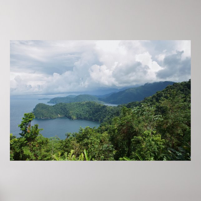 Póster elementos do paraíso (Frente)