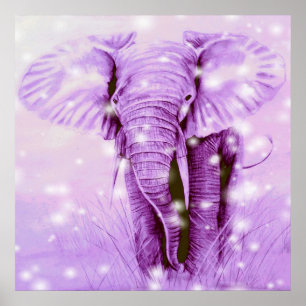 Póster elephant