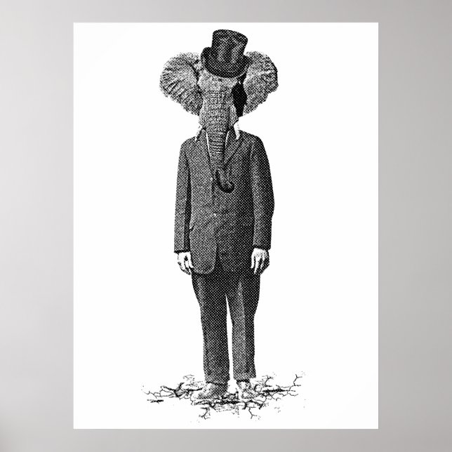 Póster Elephant Dandy (Frente)