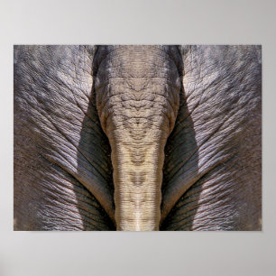 POSTER ELEPHANT FUN