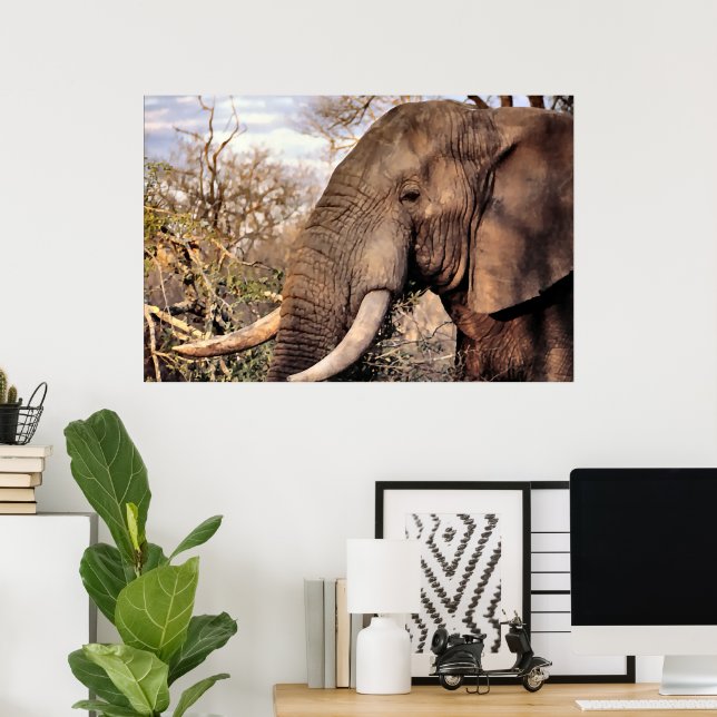 Poster Elephant Lovers Art (Escritório em casa)
