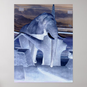 Póster Elephant Pop Art