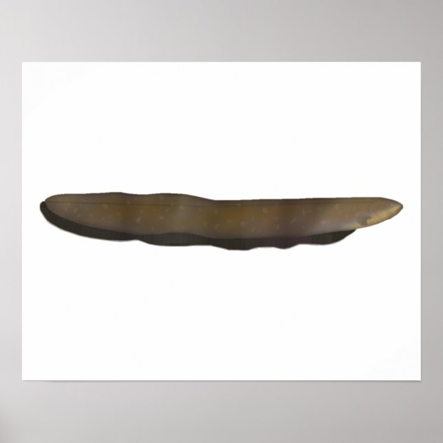 Poster Elétrica (Frente)