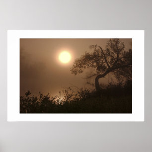 Póster Elevação da névoa