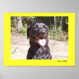 Póster Elise 2006