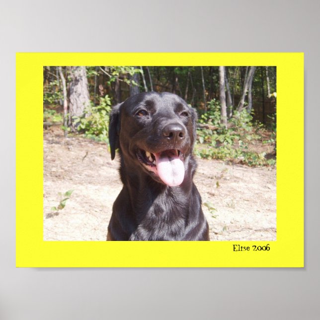 Póster Elise 2006 (Frente)