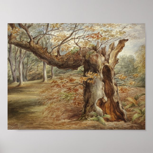 Poster Elizabeth Murray - Árvore rotativa (Frente)