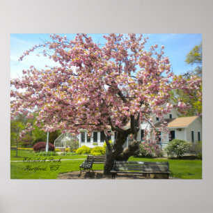 Poster Elizabeth Park, Hartford, CT