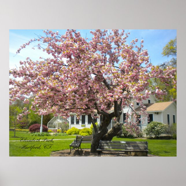 Poster Elizabeth Park, Hartford, CT (Frente)