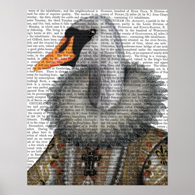 Póster Elizabethan Swan (Frente)