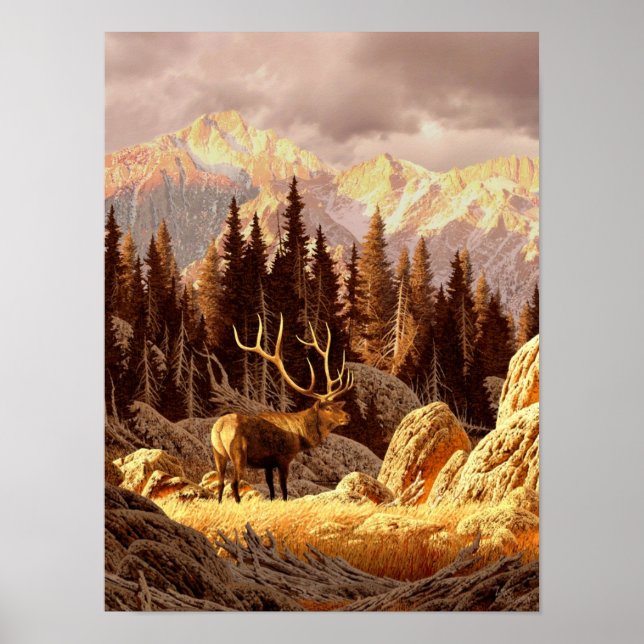 Poster Elk Bull (Frente)