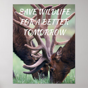 Poster Elk, Salve a vida selvagem para uma natureza melho