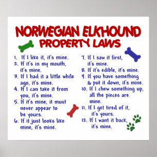 PÓSTER ELKHOUND NORUEGUÊS PL2