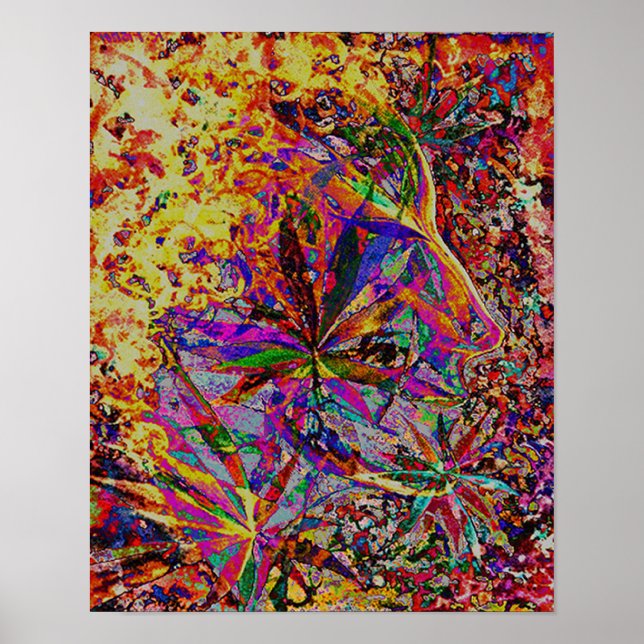 Póster Elly (Frente)