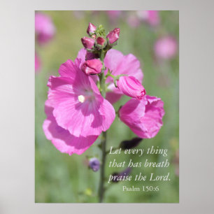 Poster Elogio cor-de-rosa do Hollyhock
