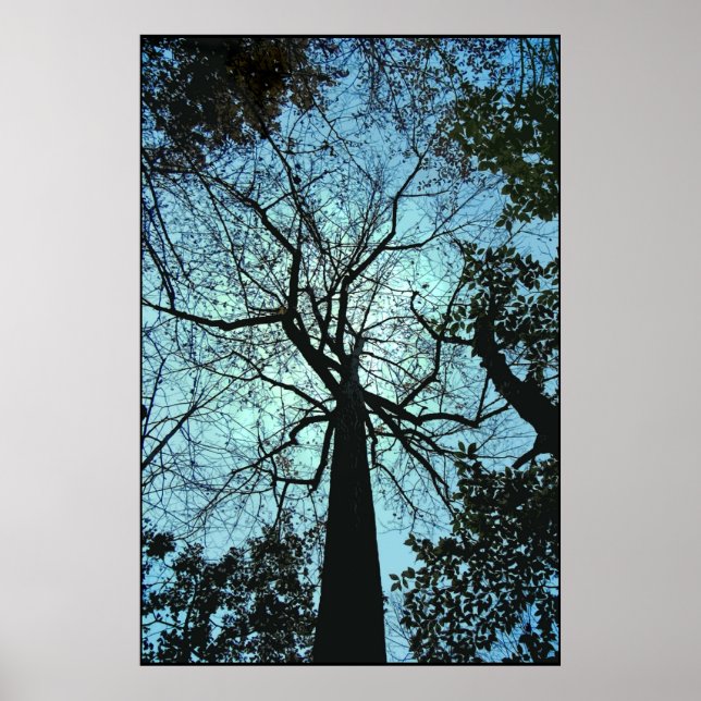 Poster Em cima da árvore (Frente)