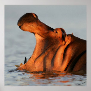 Póster Em Dusk Hippopotamus Retrait